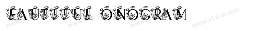 Beautiful Monogram字体转换